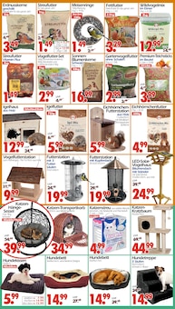 Kratzbaum im Wreesmann Prospekt "DEIN SAISON- & SONDERPOSTENMARKT!" mit 12 Seiten (Bremerhaven)