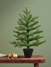 Aktuelle Weihnachtsbaum Angebote bei Möbel Martin in Worms Aktuelles Tannenbaum Angebot bei Möbel Martin in Worms ab 9,99 €