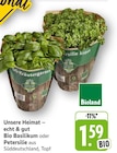 Bio Basilikum Angebot in Blankenrath Bio Basilikum im aktuellen Prospekt bei EDEKA in Blankenrath
