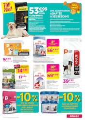 Promos Croquettes Chien dans le catalogue "Chez nous, les bonnes affaires c'est toute l'année !" de Delbard Croquettes Chien en promo dans le catalogue Delbard à la page 7
