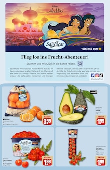 Tomaten im aktuellen REWE Prospekt (Stuttgart) Tomaten im REWE Prospekt "Dein Markt" mit 28 Seiten (Stuttgart)