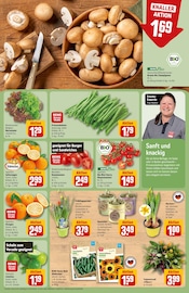 Ähnliche Heckenpflanzen Angebote im Prospekt "Dein Markt" von REWE in Wiesbaden Ähnliche Angebote wie Heckenpflanzen im Prospekt "Dein Markt" auf Seite 7 von REWE in Wiesbaden