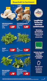 Ähnliche Weihnachtsstern Angebote im Prospekt "LIDL LOHNT SICH" von Lidl in Langenhagen Ähnliche Angebote wie Weihnachtsstern im Prospekt "LIDL LOHNT SICH" auf Seite 3 von Lidl in Langenhagen