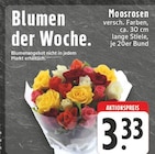 EDEKA Roetgen - Moosrosen Angebot im Prospekt Moosrosen bei EDEKA im Roetgen Prospekt für 3,33 €