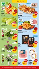 Aktueller Penny Prospekt mit Pflanzen, "Wer günstig will, muss Penny.", Seite 30