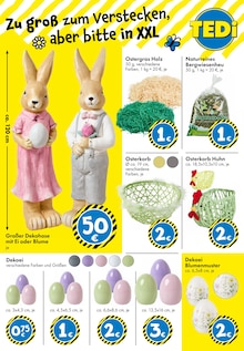 Bekleidung im TEDi Prospekt "TEDi - voller Ideen!" mit 40 Seiten (Potsdam)