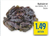 Aktuelles Kopfsalat rot Angebot bei diska in Dresden ab 1,49 €