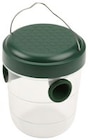 Lebendwespenfalle bei Penny im Prospekt "" für 4,99 €