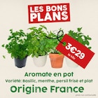 So.bio Châteaubernard - Promo Aromat en pot Variétes : basilic, menthe, persil frisé et plat Promo Aromat en pot Variétes : basilic, menthe, persil frisé et plat à 3,29 € dans le catalogue So.bio à Châteaubernard