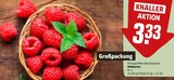 Himbeeren Angebote bei REWE Aurich für 3,33 €