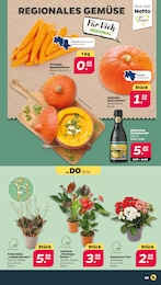 Garten im Netto mit dem Scottie Prospekt Günstig. Besser. Für Dich. auf S. 3