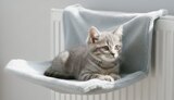HAMAC DE RADIATEUR - LEEBY en promo chez Animalis Sarcelles à 11,99 €