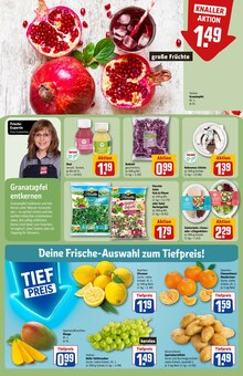 Kartoffeln im aktuellen REWE Prospekt (Mönchengladbach) Kartoffeln im REWE Prospekt "Dein Markt" mit 36 Seiten (Mönchengladbach)