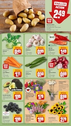 Pflanzen Angebot & Preis im aktuellen REWE Prospekt Pflanzen Angebot im aktuellen REWE Prospekt auf Seite 7