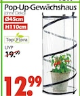 Aktuelles Pop-Up-Gewächshaus Angebot bei Wreesmann in Dresden ab 12,99 €