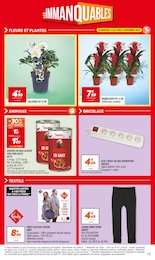 Prix et réduction Fleurs dans le prospectus Netto en cours Offre Fleurs dans le catalogue Netto du moment à la page 15