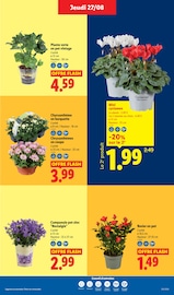 Prospectus Lidl "La rentrée des économies" en cours à Thonon-les-Bains, Page 29 Catalogue Lidl en cours à Thonon-les-Bains, "La rentrée des économies", Page 29