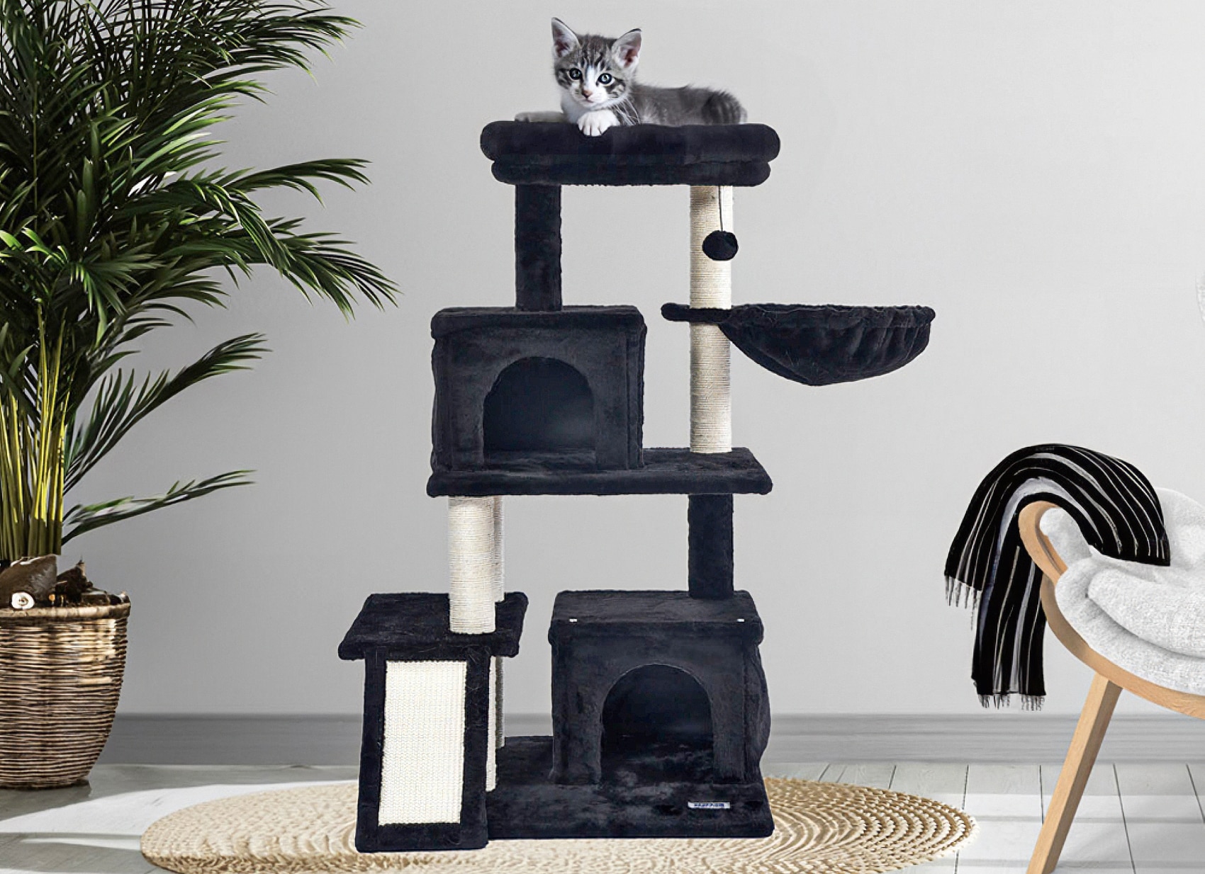 Aldi Nord Katzenkratzbaum Angebot  Finde den Preis im aktuellen Prospekt