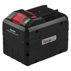 Performance Smart Akku, 20 V/12 Ah
