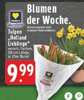 Angebot im EDEKA Geilenkirchen Prospekt EDEKA Geilenkirchen Prospekt mit im Angebot für 9,99 €