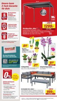 toom Baumarkt Prospekt der Woche "Respekt, wer's selber macht." Seite 2, 24.01.2026 bis 30.01.2026 für Alzey Aktueller toom Baumarkt Prospekt "Respekt, wer's selber macht." Seite 2 von 12 Seiten für Alzey