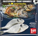 EDEKA Südlohn - Dorade Royal Angebot im Prospekt Dorade Royal bei EDEKA im Südlohn Prospekt für 1,69 €