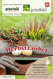 Garten-Center Nordharz GmbH & Co. KG Prospekt für Salzhemmendorf: "HERBSTZAUBER", 12 Seiten, 05.09.2026 - 12.09.2026