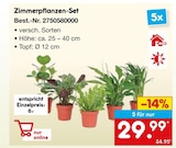 Zimmerpflanzen im Netto Marken-Discount Prospekt Zimmerpflanzen-Set im aktuellen Netto Marken-Discount Prospekt für 29,99 €