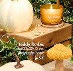Teddy Kürbis Angebote bei TEDi Rosenheim für 5,00 €