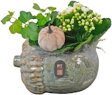 Herbstarrangement Herbstglück im Angebot bei REWE in Berlin Herbstarrangement Herbstglück Angebote bei REWE Berlin für 10,99 €