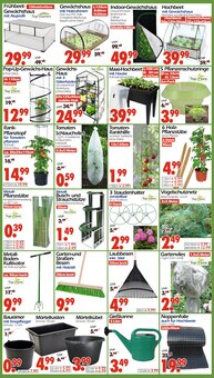 Blumentopf im Wreesmann Prospekt "DEIN SAISON- & SONDERPOSTENMARKT!" mit 20 Seiten (Dresden)