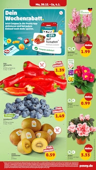 Garten Angebot im aktuellen Penny Prospekt auf Seite 9