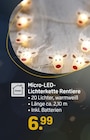 Micro-LED-Lichterkette Rentiere von  im aktuellen Rossmann Prospekt für 6,99 €