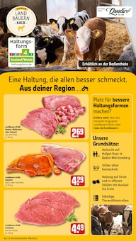 Rollbraten im aktuellen REWE Prospekt (Pforzheim) Rollbraten im REWE Prospekt "Dein Markt" mit 36 Seiten (Pforzheim)