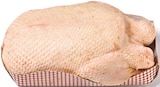 Frische Barbarie Ente im aktuellen Netto mit dem Scottie Prospekt