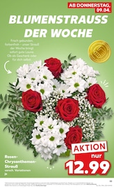 Chrysantheme im Kaufland Prospekt in Düsseldorf Aktueller Kaufland Prospekt mit Chrysantheme, "Aktuelle Angebote", Seite 55