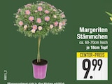 Margeriten Stämmchen bei E center im Meitingen Prospekt für 9,99 €