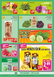 Aktueller Marktkauf Prospekt mit Pflanzen, "AUSWAHL RIESIG, PREISE NIEDRIG", Seite 9