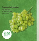 Trauben hell kernlos im Angebot bei V-Markt in Regensburg Trauben hell kernlos Angebote bei V-Markt Regensburg für 1,99 €