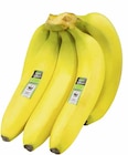 Bio Bananen bei E center im Bühlertal Prospekt für 1,49 €