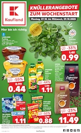 Aktueller Kaufland Supermarkt Prospekt für Schillingsfürst 27.10.2025 - 29.10.2025 Kaufland Prospekt für Schillingsfürst mit 61 Seiten