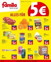 Aktueller famila Nordost Supermarkt Prospekt in Drüsen und Umgebung, "besser als gut!" mit 28 Seiten, 17.11.2025 - 22.11.2025