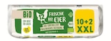 Frische Bio Eier XXL Angebote bei Lidl Friedrichshafen für 3,39 €