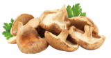 Shiitake im Angebot bei REWE in Köln Shiitake Angebote bei REWE Köln für 2,29 €