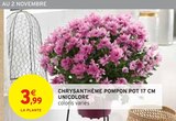 Intermarché Express Saint-Maur-des-Fossés - Promo Chrysanthème Pompon Pot 17 cm Unicolore Promo Chrysanthème Pompon Pot 17 cm Unicolore à 3,99 € dans le catalogue Intermarché Express à Saint-Maur-des-Fossés