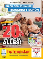 Aktueller hofmeister Prospekt mit Ariel, "MACH DEIN ZUHAUSE TRAUMHAFT SCHÖN", Seite 1