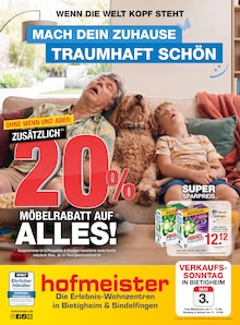 Waschmittel im hofmeister Prospekt "MACH DEIN ZUHAUSE TRAUMHAFT SCHÖN" mit 12 Seiten (Stuttgart)