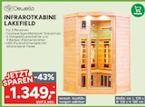 Infrarotkabine Lakefield im Angebot bei Marktkauf in Bautzen Infrarotkabine Lakefield Angebote von Dewello bei Marktkauf Bautzen für 1.349,00 €