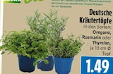 EDEKA Lollar - Deutsche Kräutertöpfe Angebot im Prospekt Deutsche Kräutertöpfe bei EDEKA im Lollar Prospekt für 1,49 €
