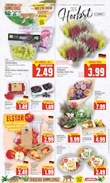 Apfel Angebot im aktuellen E center Prospekt auf Seite 3